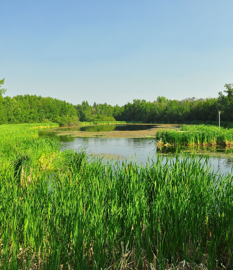 Landscape Architecture - sustainable landscapes