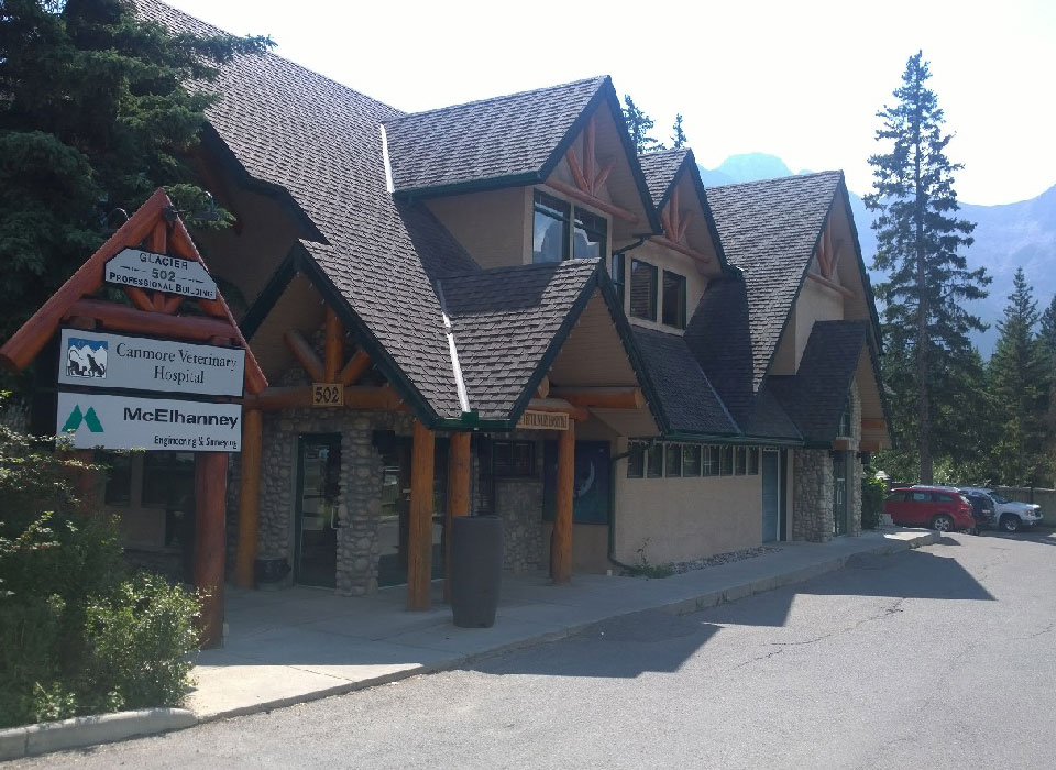 Canmore-Alberta McElhanney Canmore Office