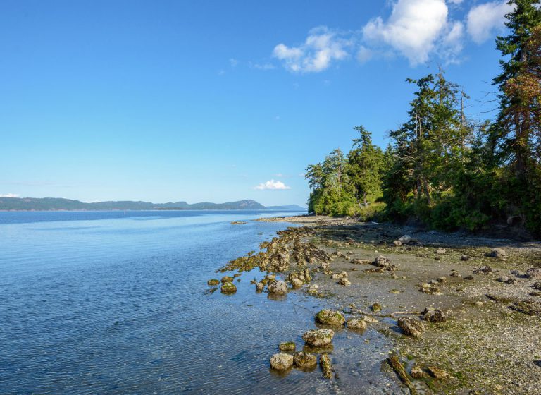 Duncan, British Columbia McElhanney
