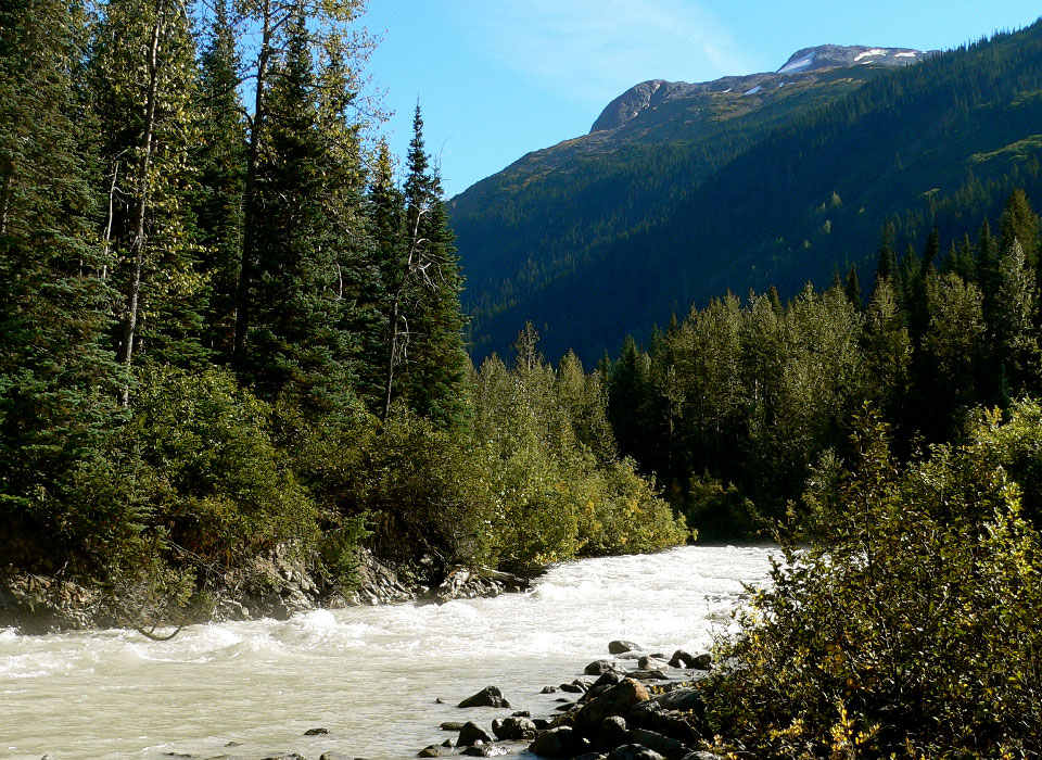 Creek in Prince George, British Columbia