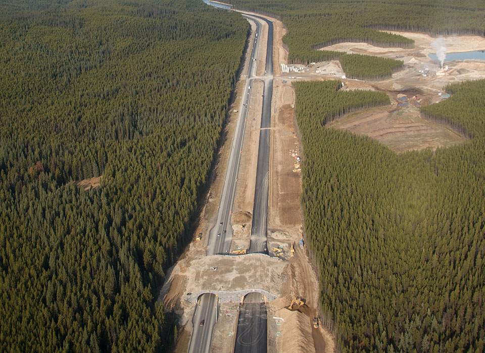 Banff-National-Park-TCH-Twinning-Row2Left Banff national park TCH twinning