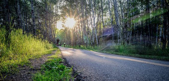 Public Washroom Siting Strategy and Design Guidelines