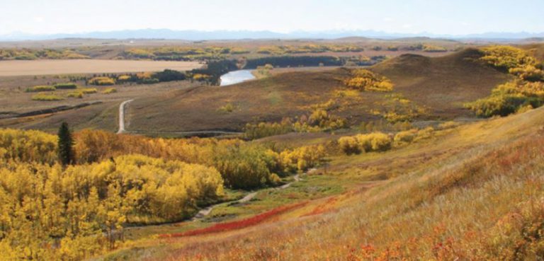 Glenbow-Ranch-Provincial-Park-Management-Plan-header Park management plan