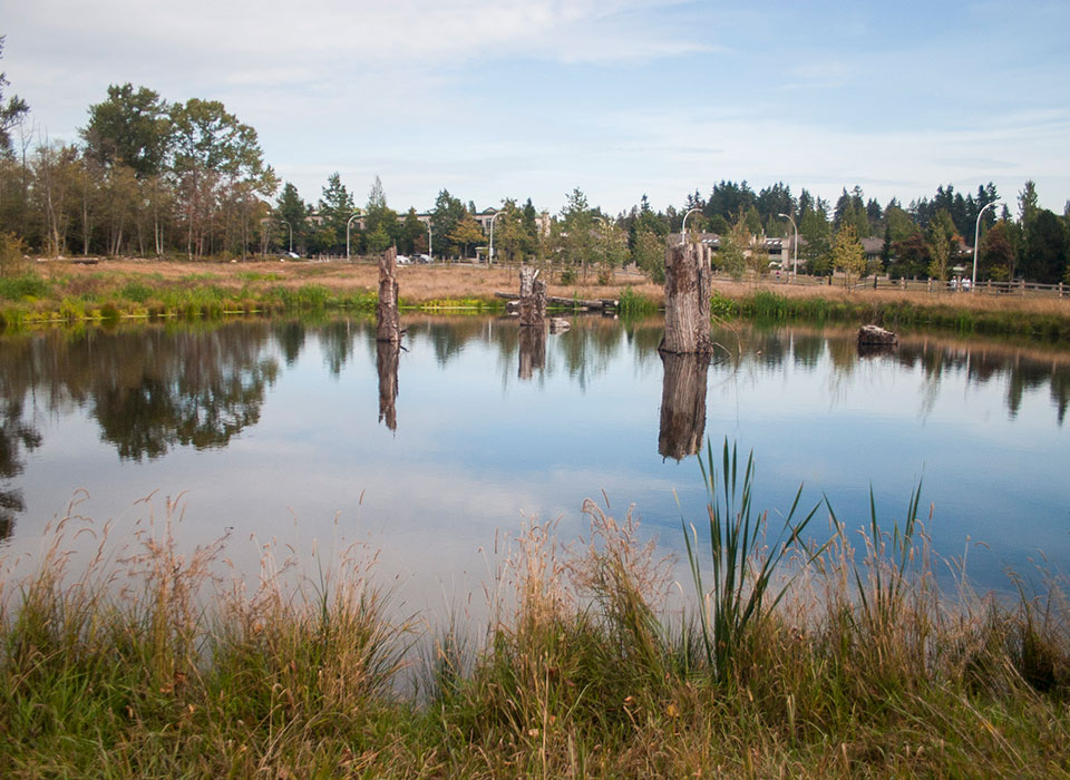 Newton Detention Pond