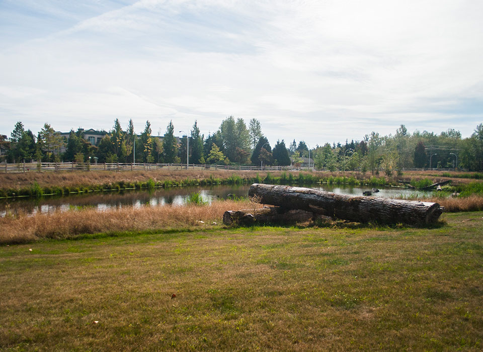 Newton Detention Pond