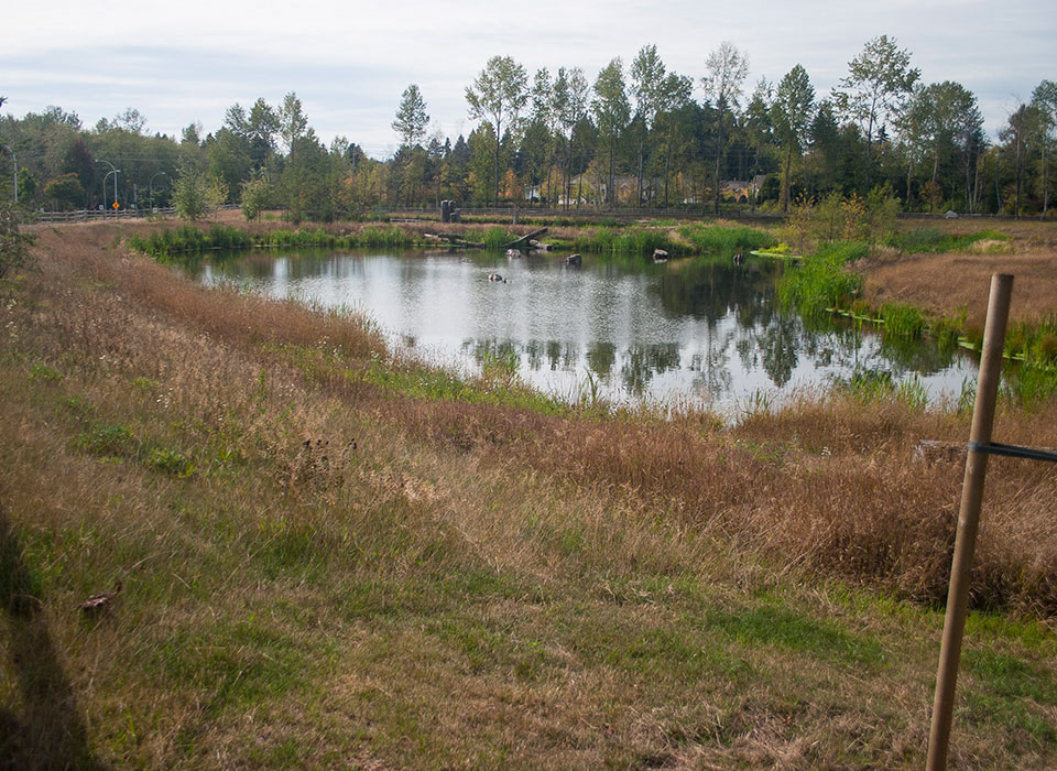 Newton Detention Pond