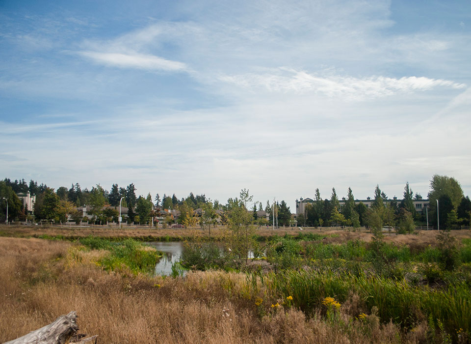 Newton Detention Pond