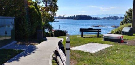Water and park bench