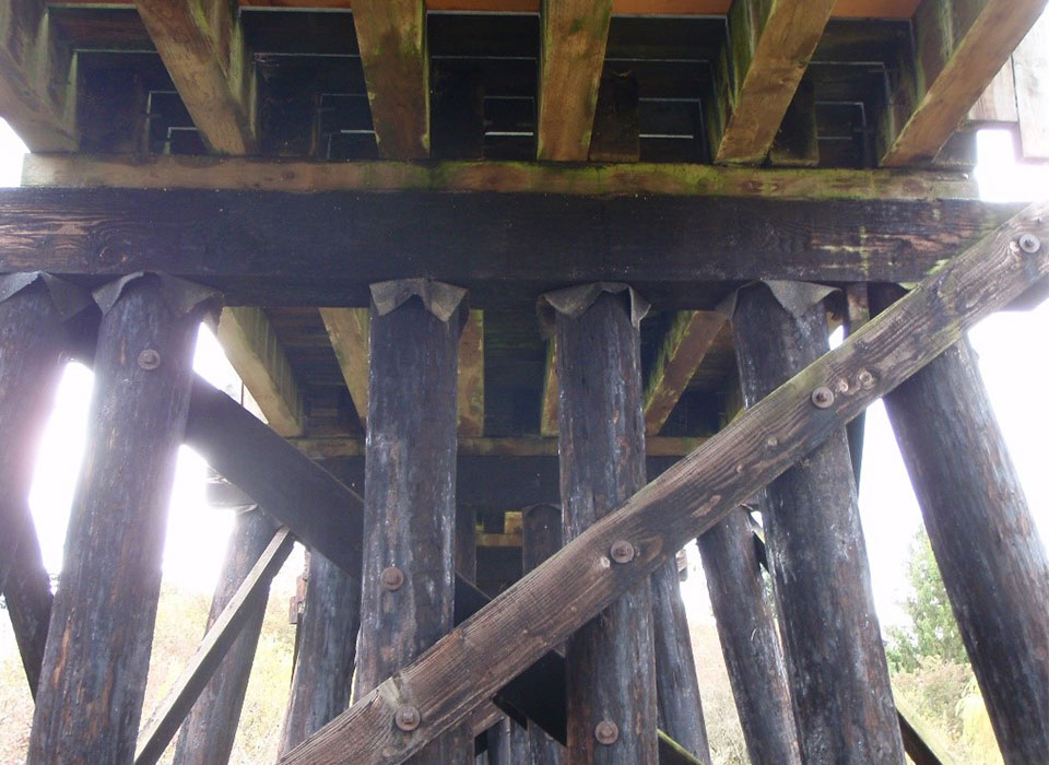 Under a pier