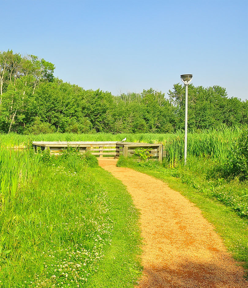 Bench in grass