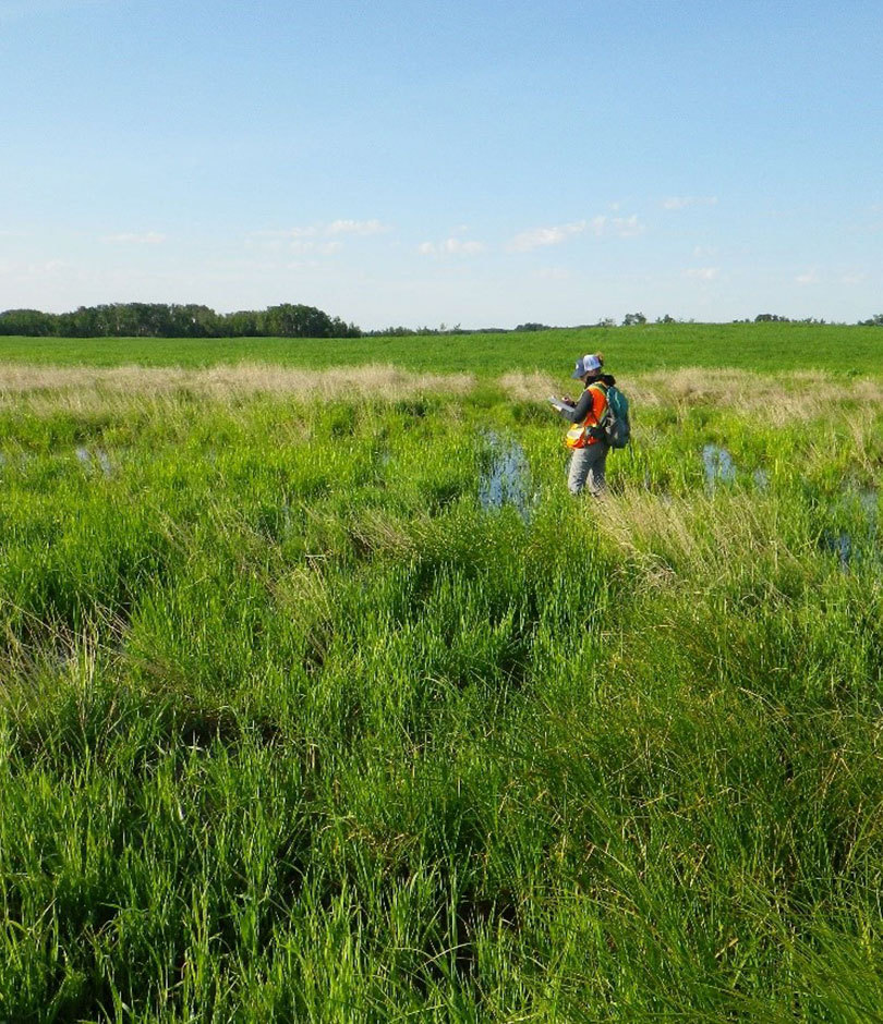 Surveyor in the field