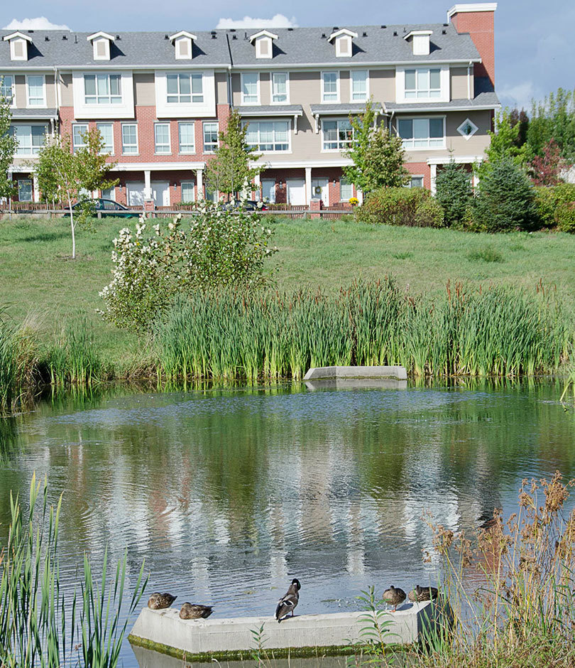 pond and townhouses