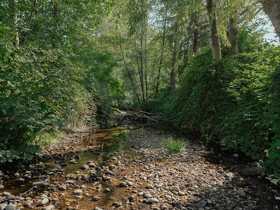 Bear Creek Bridge