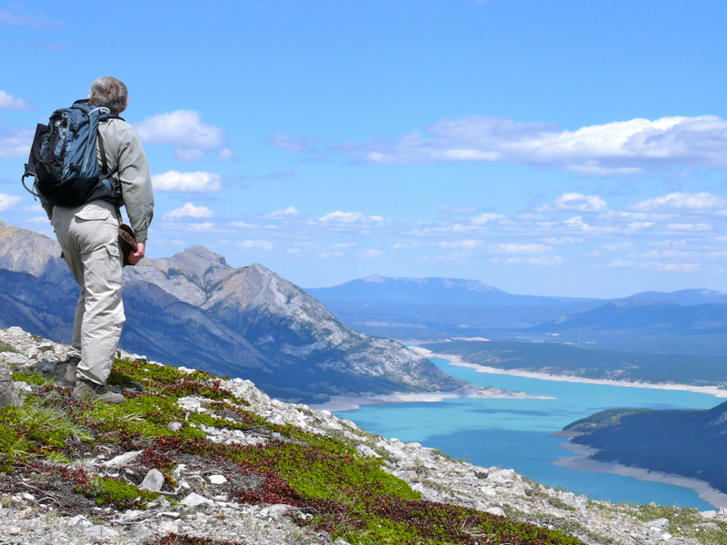 Kootenay Plains