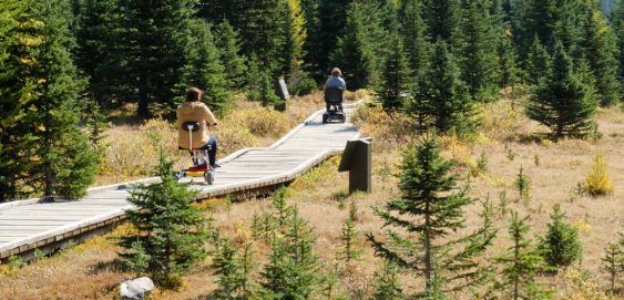Testing accessibility in Alberta Provincial Parks
