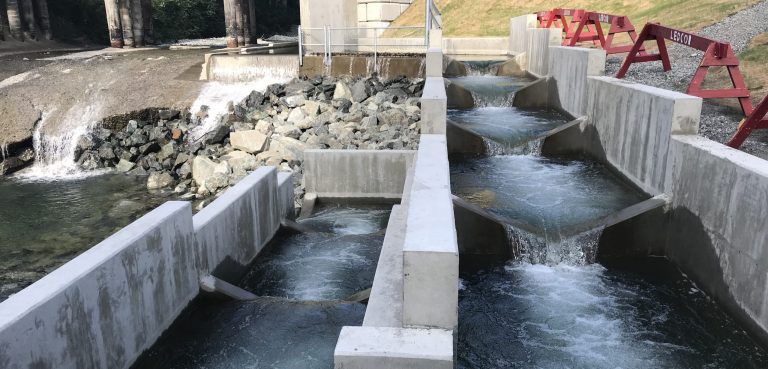 IMG_1365_Featured Anderson Creek Fish Ladder