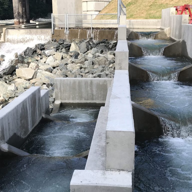 Anderson Creek Fish Ladder