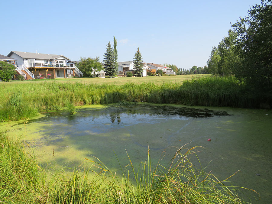 Sylvan Lake Stormwater Management Plan