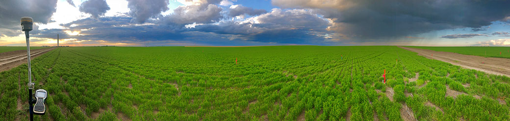 McElhanney survey equipment in a field in Alberta