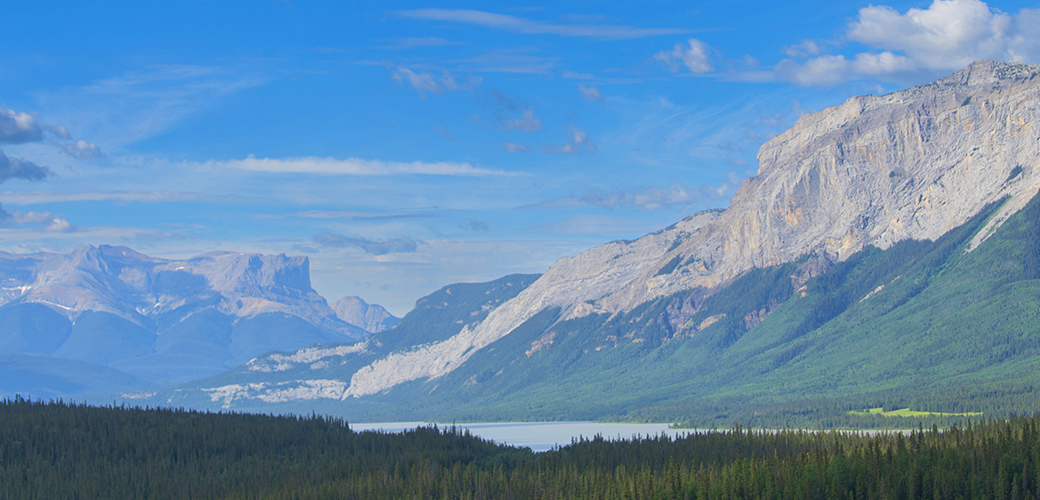 Yellowhead Brochure McElhanney