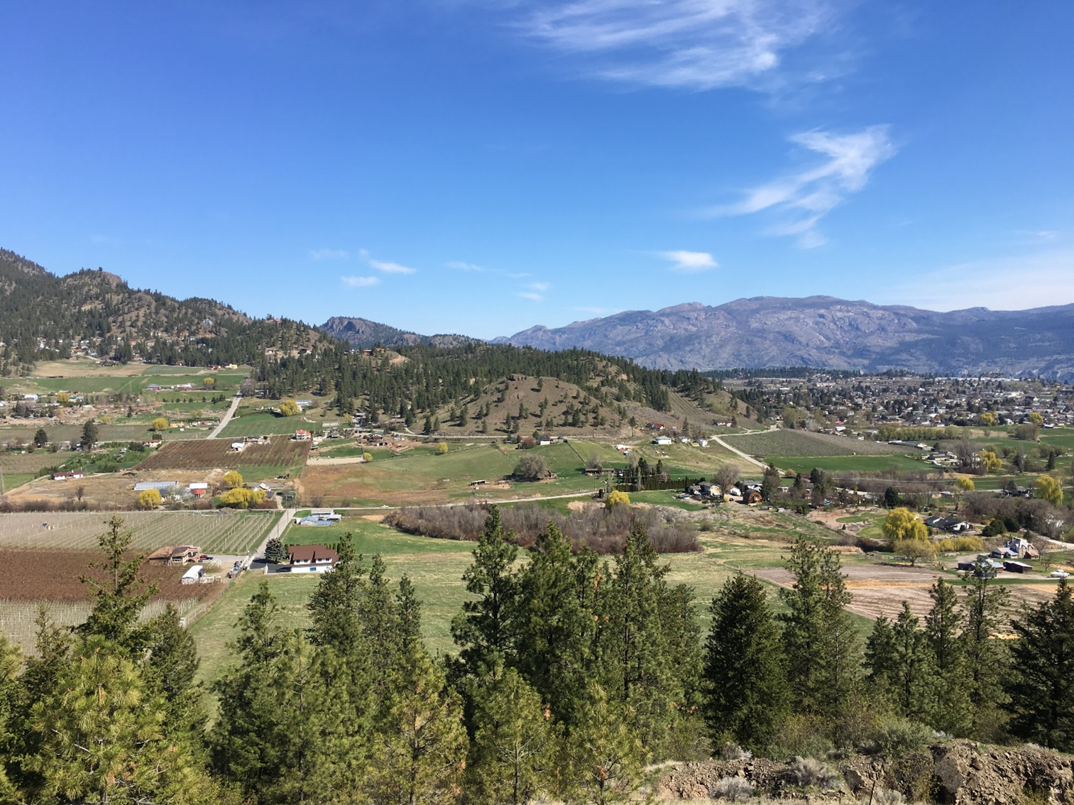 Environmental Impact Assessment Dinsmore Aerial 2