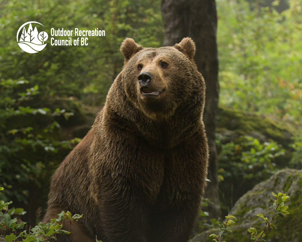 New TrailUse Guidelines Lead the Way to Improved Habitat Protection in