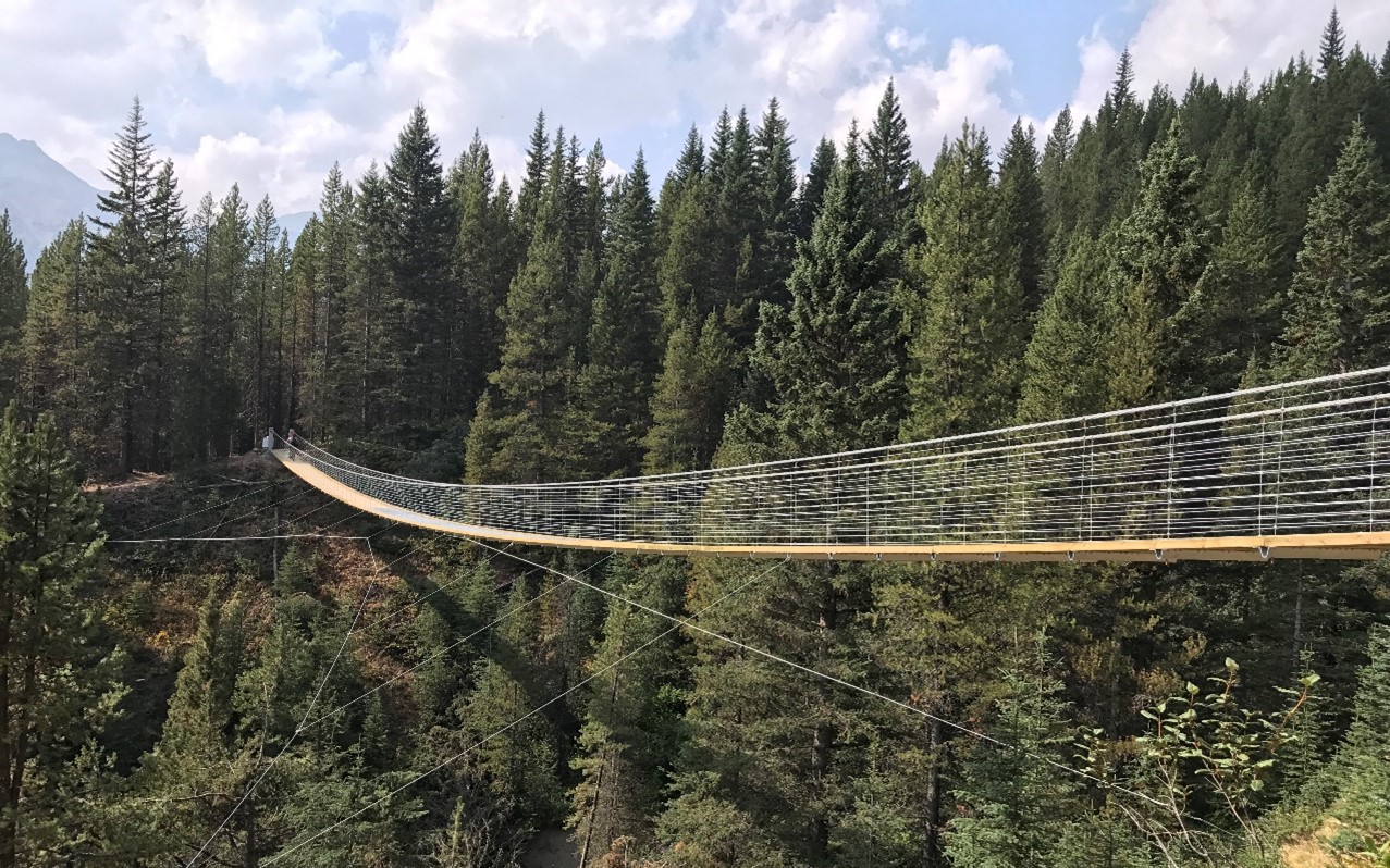 Blackshale Suspension Bridge