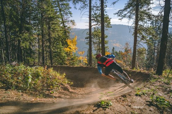 Cypress Hills, Medicine Hat