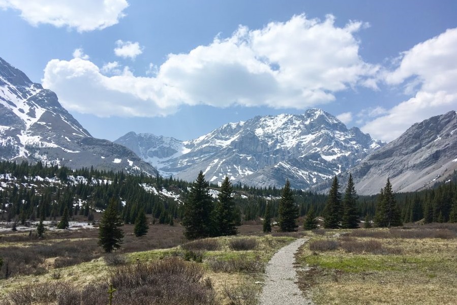 Tombstone campground trail system