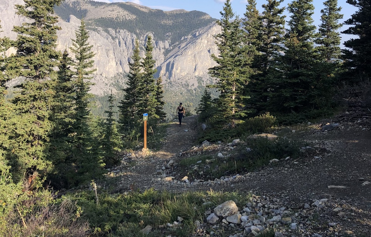 Yamnuska Trail Refurbishment