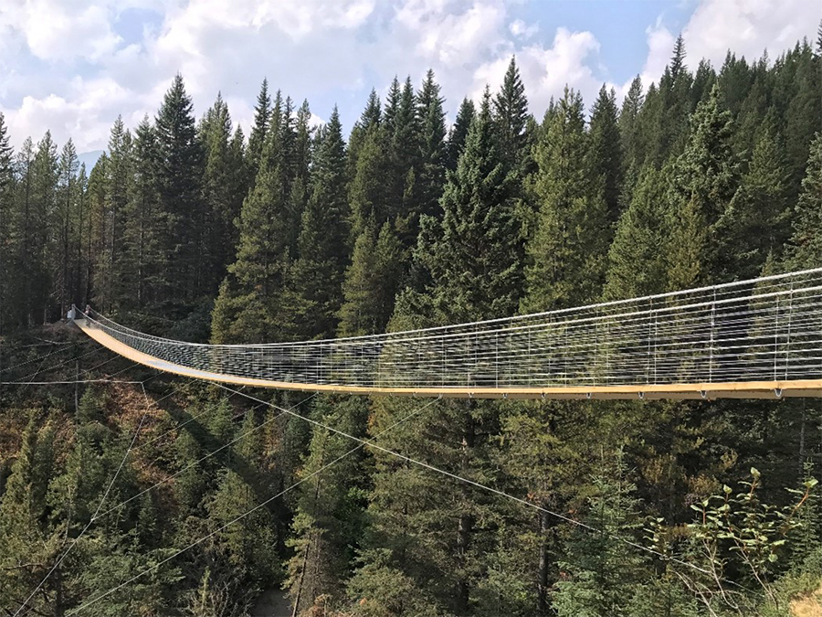 BRIDGES Blackshale Suspension Bridge