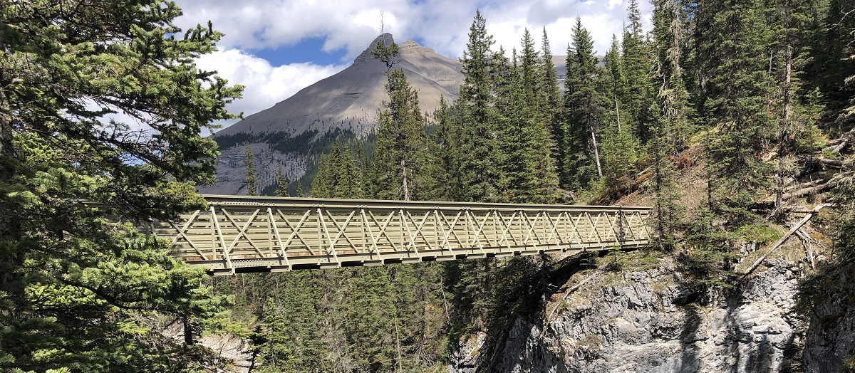 Big Elbow Trail Bridge Big Elbow Trail Bridge