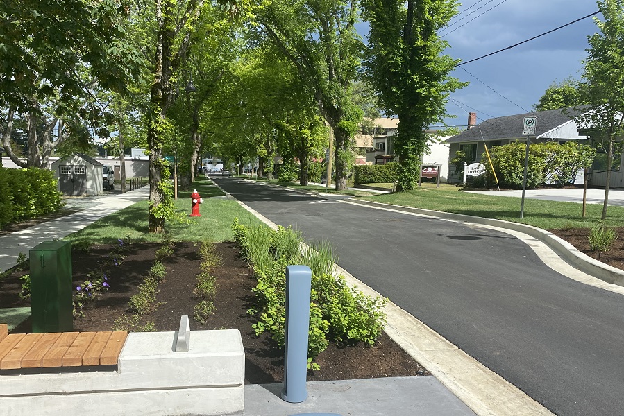 A paved street is lined by deciduous trees. There is fresh landscaping and a concrete and wood bench next to the street.