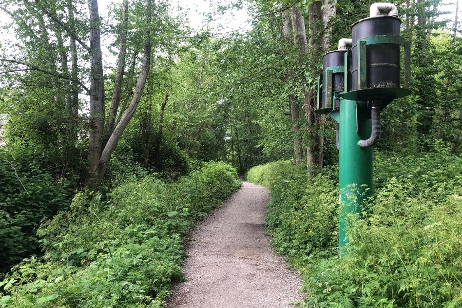 A dirt trail cuts through green, bushy underbrush in a deciduous forest. A green pipe is on the right side of the trail.