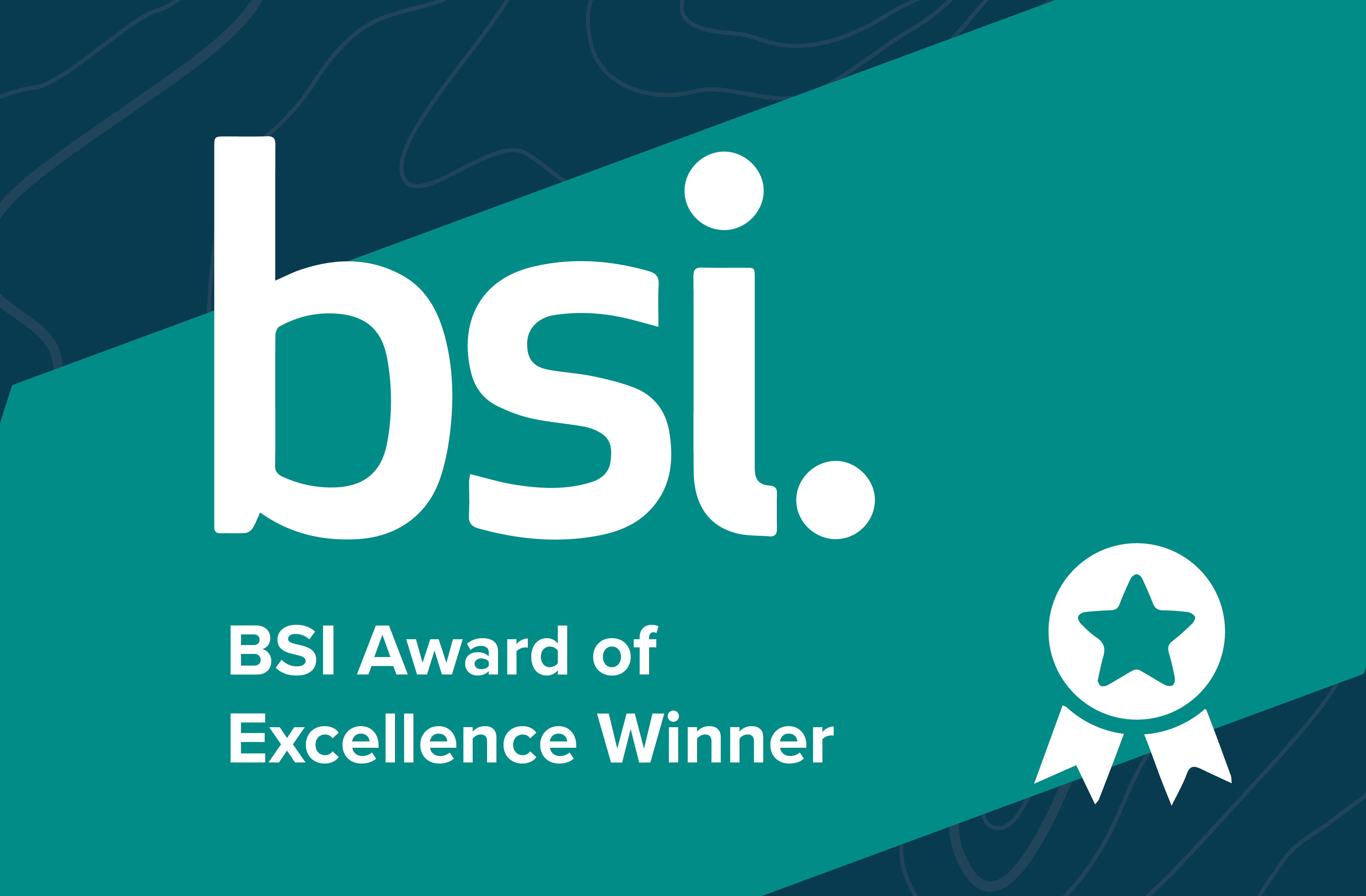 BSO Award of Excellence