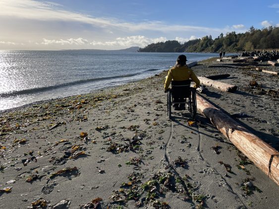 A person in a wheelchair has their back to camera and is facing a calm oceanfront. They are on a sandy, west-coast beach, next to a driftwood log. They are a few metres from the water’s edge.