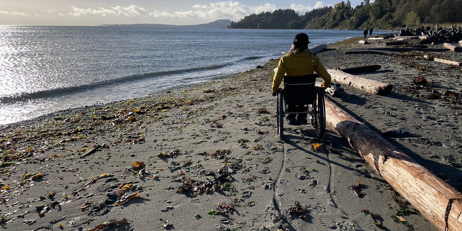 A person in a wheelchair has their back to camera and is facing a calm oceanfront. They are on a sandy, west-coast beach, next to a driftwood log. They are a few metres from the water’s edge.