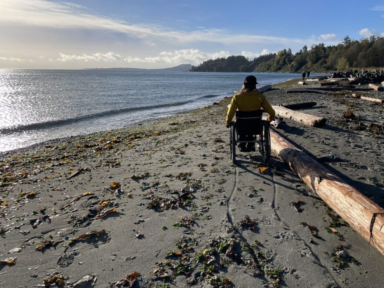 A person in a wheelchair has their back to camera and is facing a calm oceanfront. They are on a sandy, west-coast beach, next to a driftwood log. They are a few metres from the water’s edge.