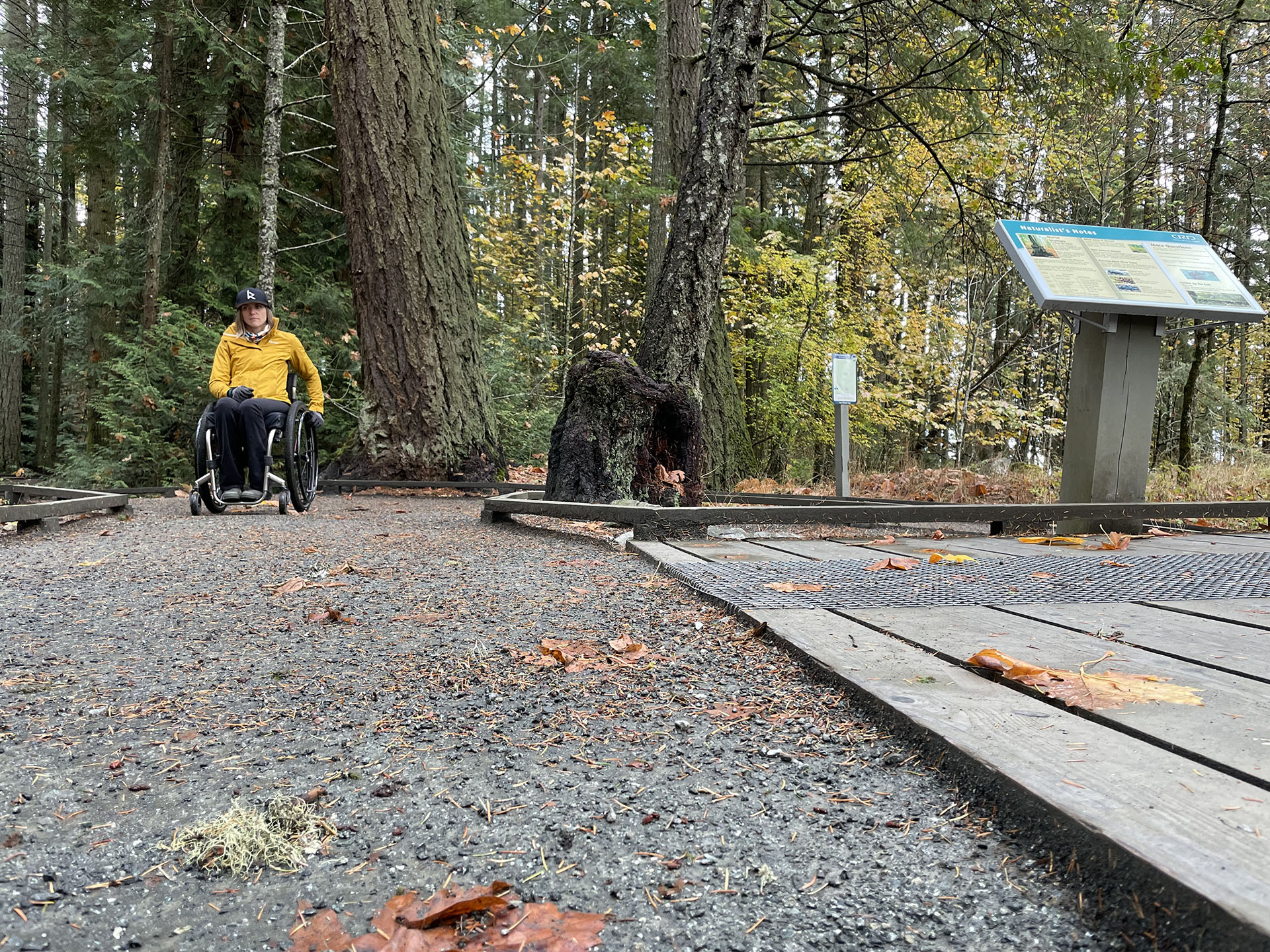 A person in a wheelchair faces the camera and is on a gravel trail in a forested area. There is an interpretive sign on the right edge of the image’s frame.