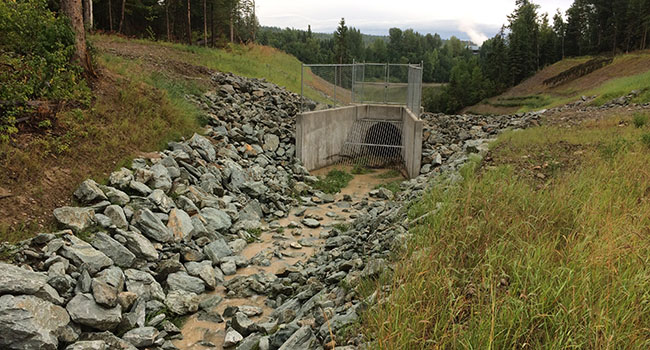 After: Safer and environmentally sound creek for the community