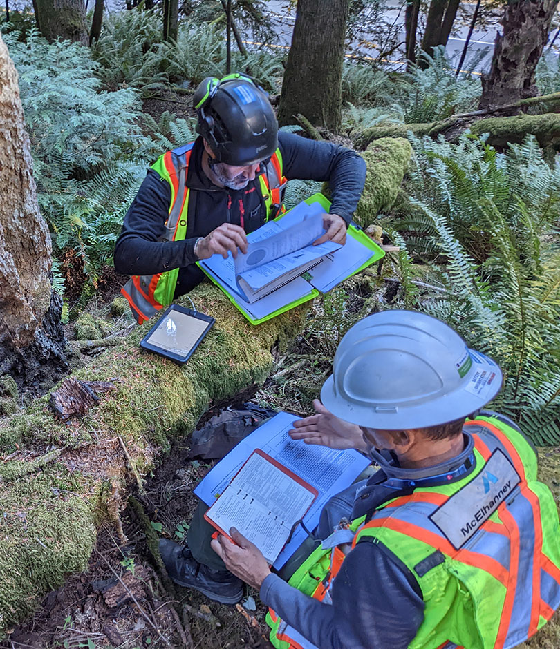 Urban Forestry Field Assessment by Certified Arborists Two arborists in safety gear reviewing forestry assessment documents and maps in a moss-covered forest setting.