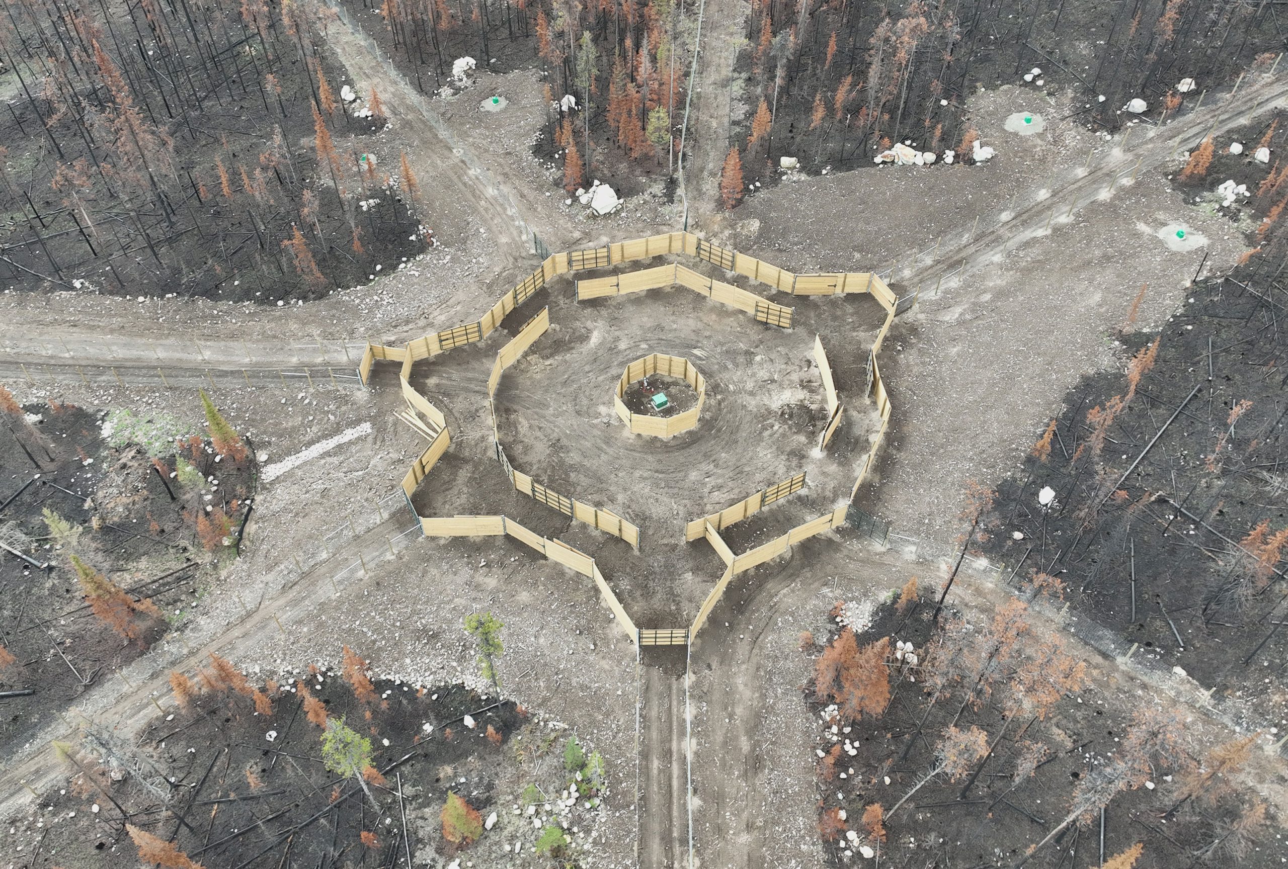 Caribou Conservation Breeding Centre hub-and-pan pattern Aerial photograph showing fenced enclosures arranged in a hub-and-pan pattern.