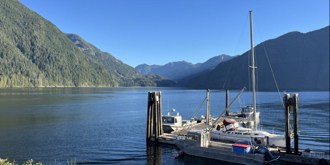 Small marina with several boats moored on calm water, surrounded by forested mountains under a clear blue sky.